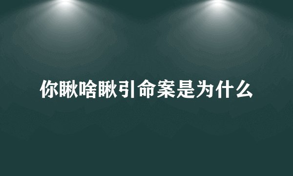你瞅啥瞅引命案是为什么