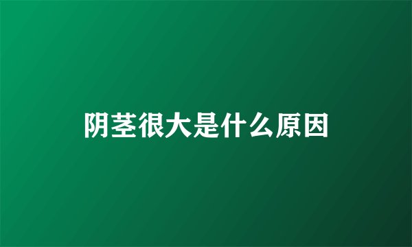 阴茎很大是什么原因