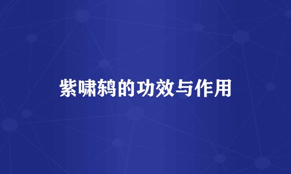 紫啸鸫的功效与作用