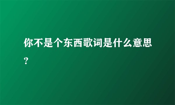 你不是个东西歌词是什么意思？