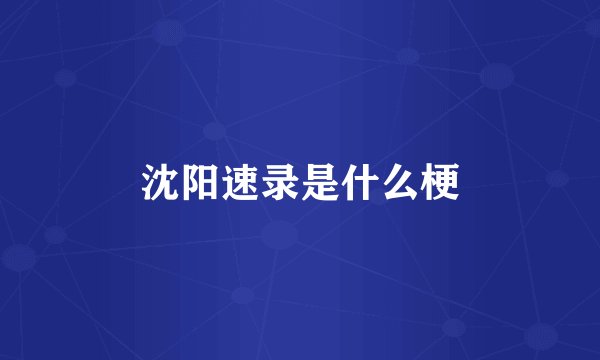 沈阳速录是什么梗