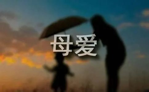 写母爱作文