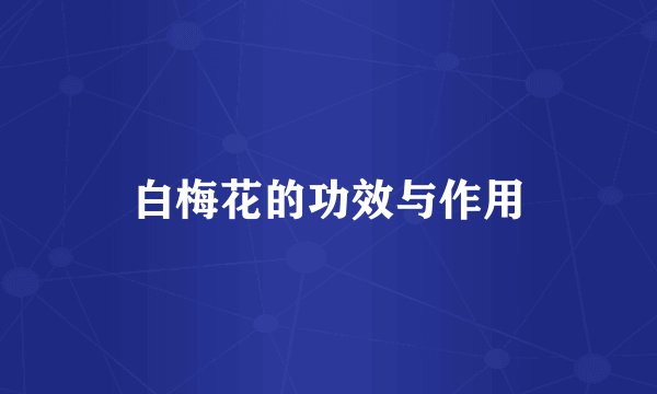 白梅花的功效与作用