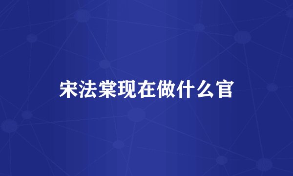 宋法棠现在做什么官
