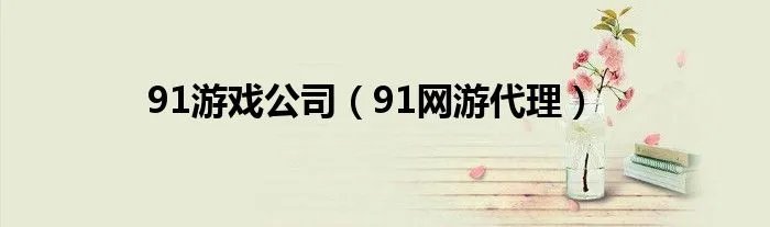 91游戏公司（91网游代理）