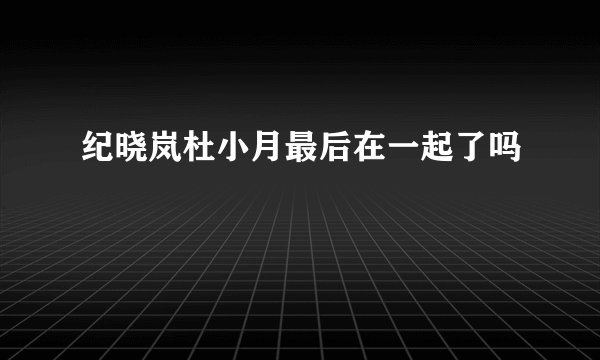纪晓岚杜小月最后在一起了吗
