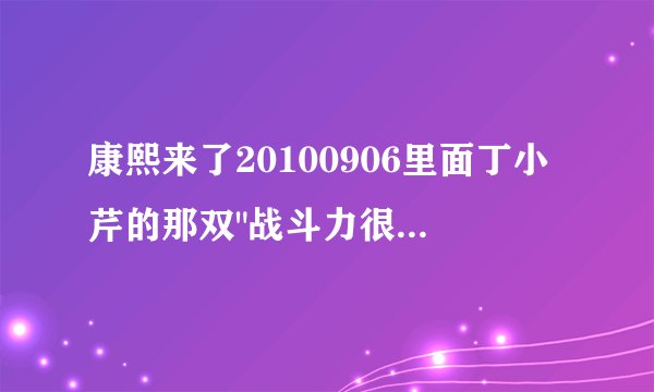 康熙来了20100906里面丁小芹的那双