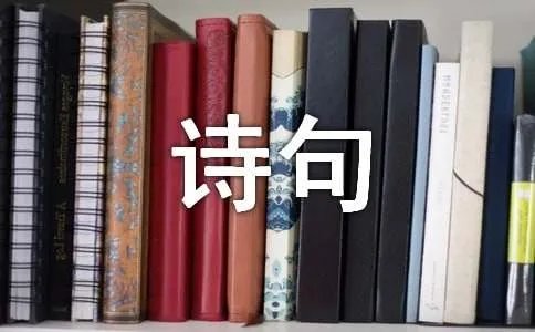雪的诗句