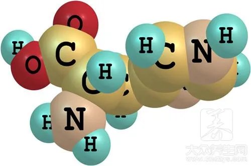 蚝油的作用和用法