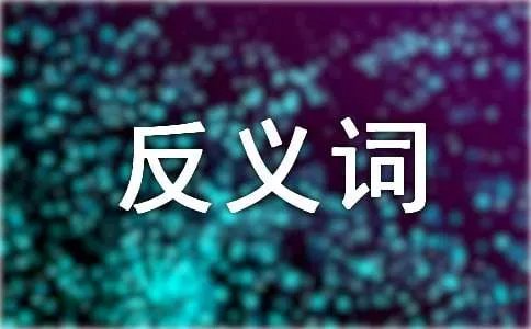 反义词