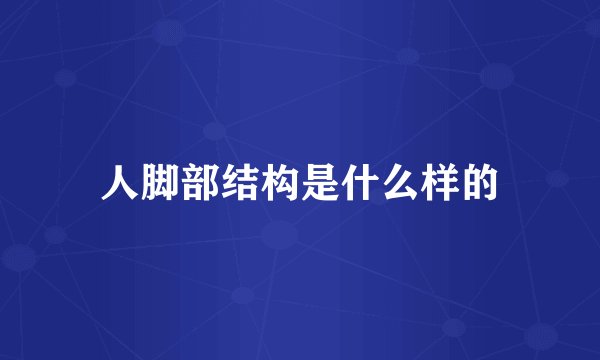 人脚部结构是什么样的