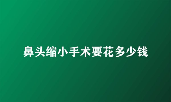 鼻头缩小手术要花多少钱
