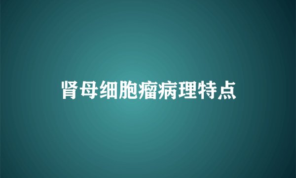 肾母细胞瘤病理特点
