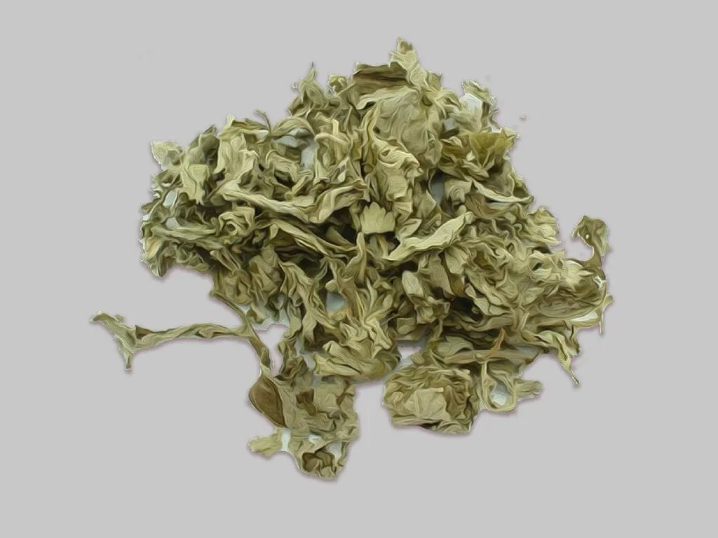 艾草图片