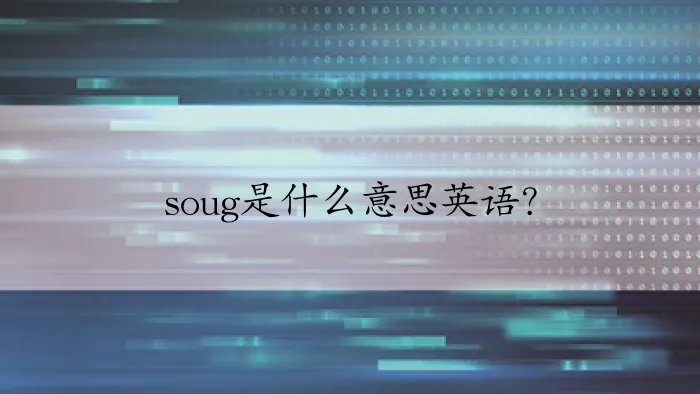 soug是什么意思英语？