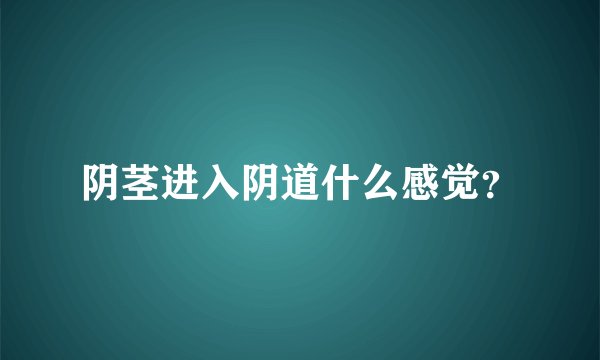 阴茎进入阴道什么感觉？