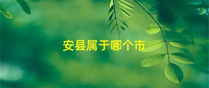 安县属于哪个市