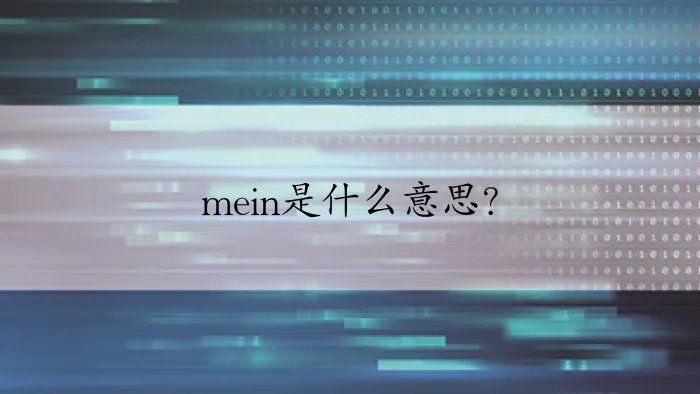 mein是什么意思？