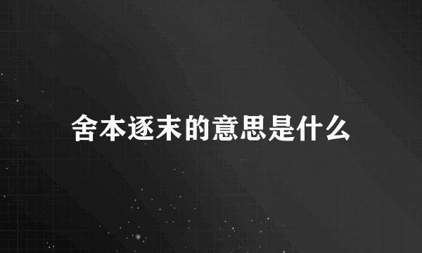 舍本逐末的意思是什么