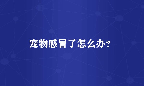 宠物感冒了怎么办？