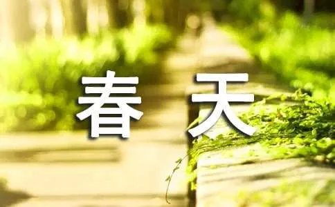 描写春天词语