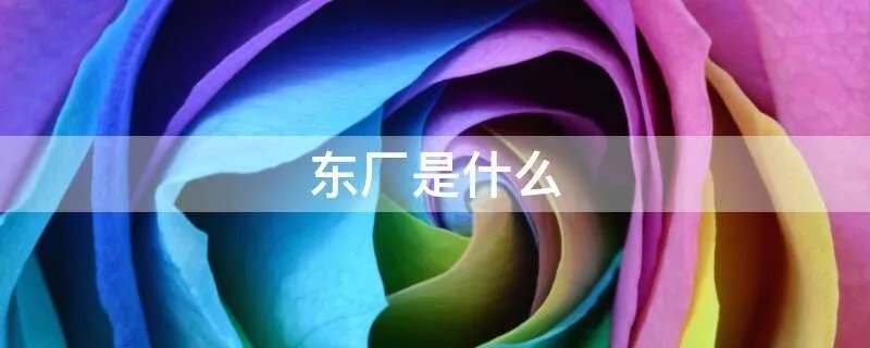 东厂是什么
