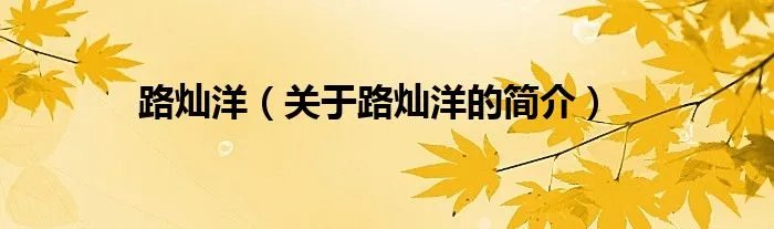 路灿洋（关于路灿洋的简介）