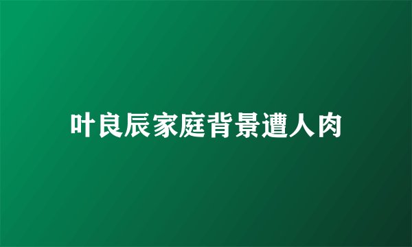 叶良辰家庭背景遭人肉