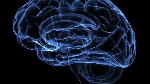 人的意识是如何产生的？死后又去了哪里？