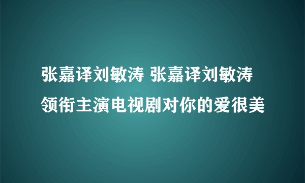 张嘉译刘敏涛 张嘉译刘敏涛领衔主演电视剧对你的爱很美