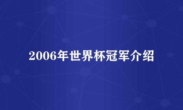 2006年世界杯冠军介绍