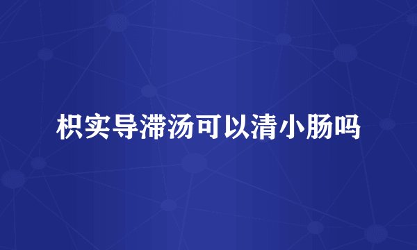 枳实导滞汤可以清小肠吗
