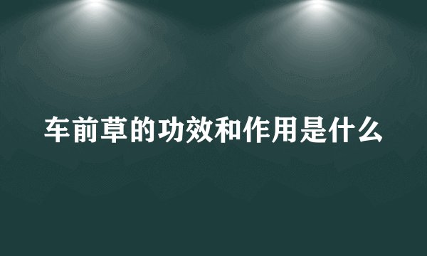 车前草的功效和作用是什么