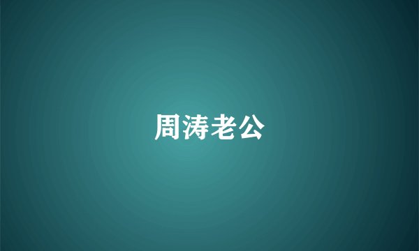 周涛老公