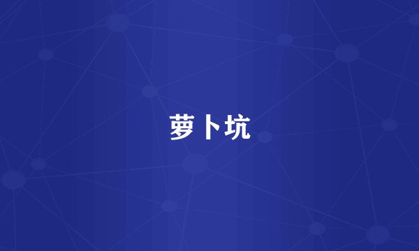 萝卜坑
