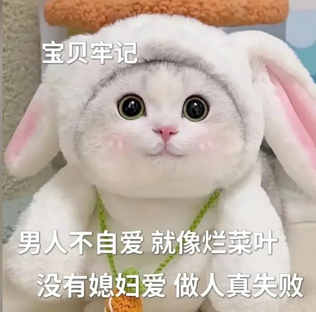 男德是什么意思?男德经内容全文