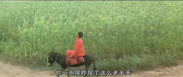 红高粱演员表