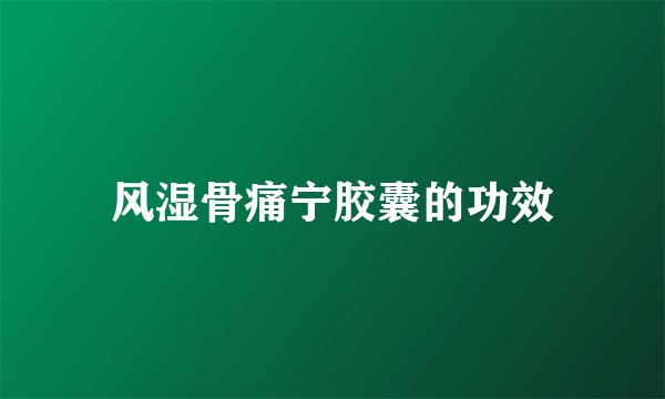 风湿骨痛宁胶囊的功效