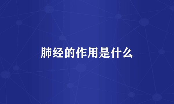 肺经的作用是什么