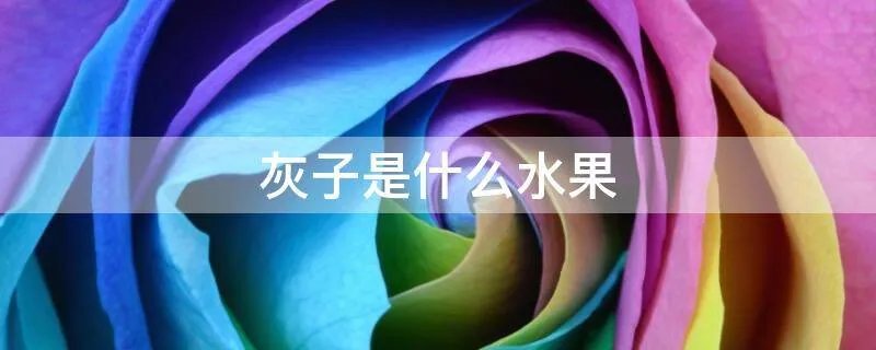 灰子是什么水果