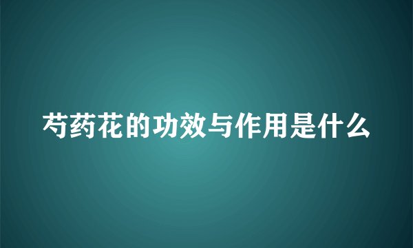 芍药花的功效与作用是什么