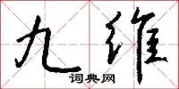 九维