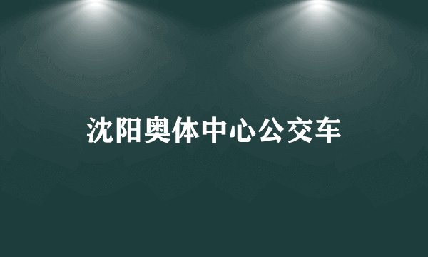 沈阳奥体中心公交车