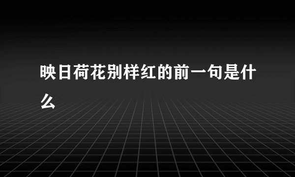 映日荷花别样红的前一句是什么