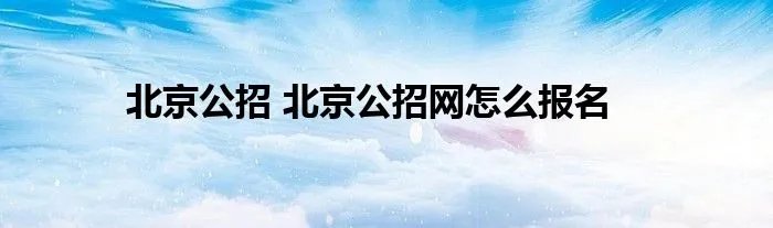 北京公招 北京公招网怎么报名