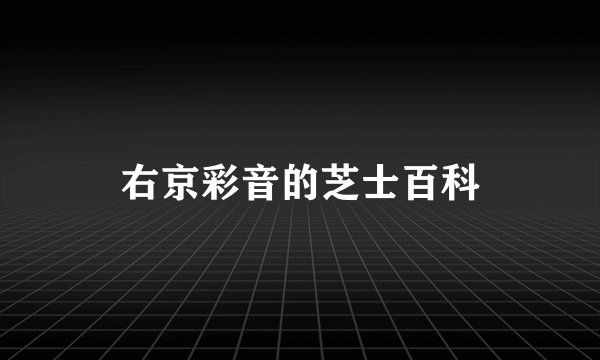右京彩音的芝士百科
