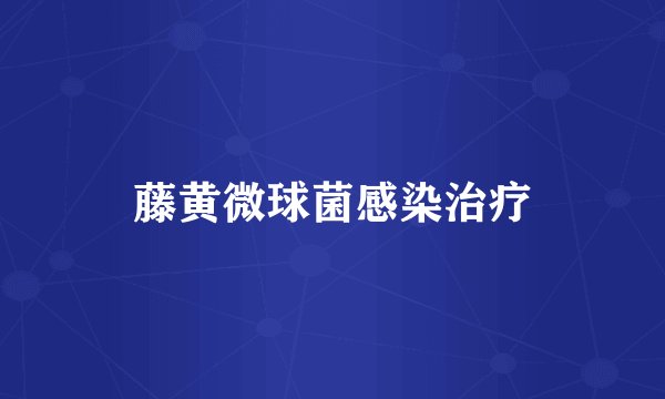 藤黄微球菌感染治疗