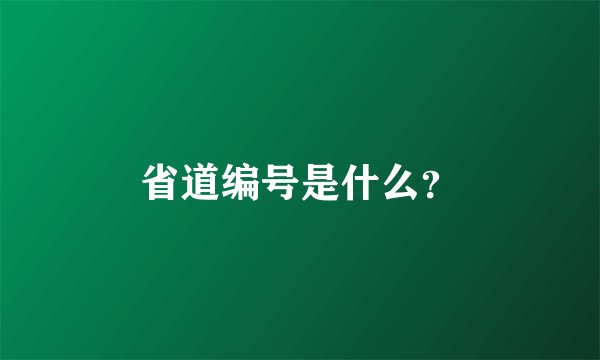 省道编号是什么?