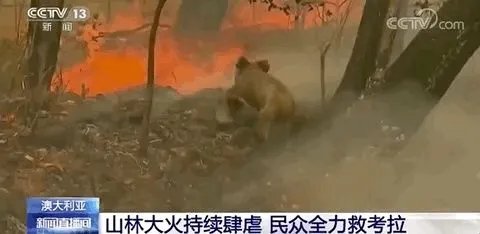 澳大利亚大火今天怎样?