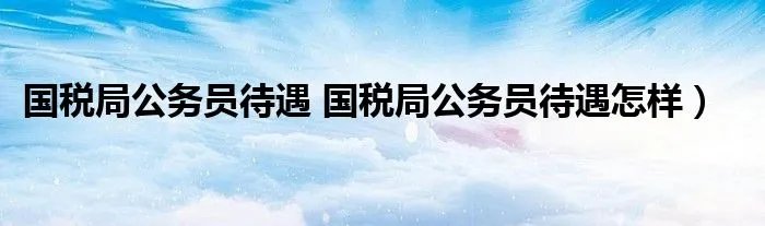 国税局公务员待遇 国税局公务员待遇怎样）